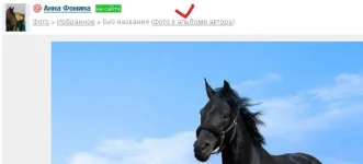 Безымянный.webp