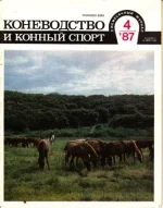 КК 4-1987._0001.webp