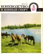 КК 5-1987._0001.webp