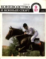 КК 9-1987._0001.webp
