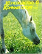 КК 6-1988._0001.webp