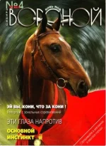 4-2004 кв..webp