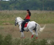 Идем гулять.webp
