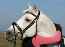 Какая любовь.webp