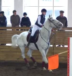 DSC_0382.webp