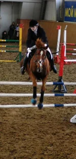DSC_0037.webp