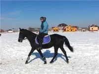 f5ea76ddc277[1].webp