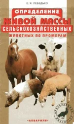13.webp