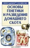 14.webp