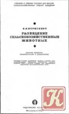 15.webp