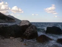 x_86219aa846.webp