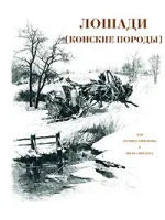 1111.webp