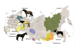 сТАТЬЯ._0002.webp
