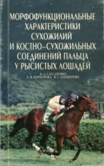 Image2.webp