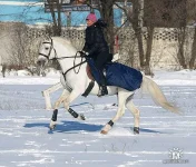 Галопчик!!!.webp