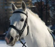 Манечка портрет.webp