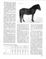 мезенка2.webp