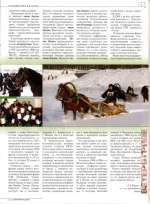 мезенка5..webp