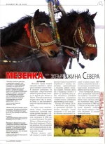 мезенка3.webp