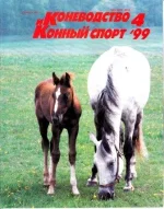 КК 4-1999._0001.webp