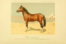 BookReaderImages1.webp