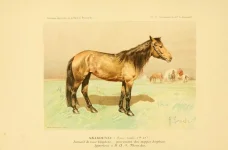 BookReaderImages2.webp