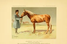 BookReaderImages3.webp