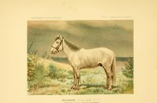 BookReaderImages4.webp