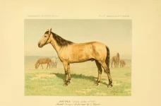 BookReaderImages5.webp