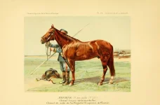 BookReaderImages6.webp