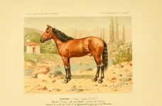 BookReaderImages7.webp