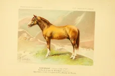 BookReaderImages8.webp