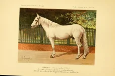 BookReaderImages9.webp