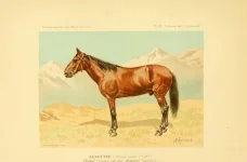 BookReaderImages10.webp