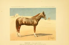 BookReaderImages11.webp