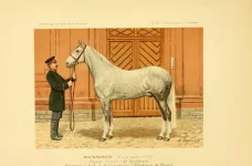 BookReaderImages12.webp