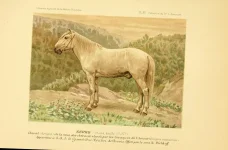 BookReaderImages13.webp
