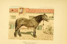 BookReaderImages14.webp