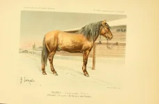 BookReaderImages15.webp