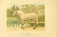 BookReaderImages16.webp