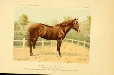 BookReaderImages17.webp