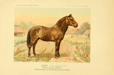 BookReaderImages18.webp