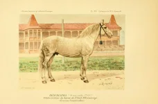 BookReaderImages19.webp