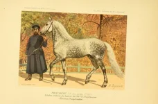 BookReaderImages20.webp