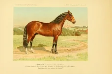 BookReaderImages21.webp