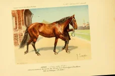 BookReaderImages22.webp