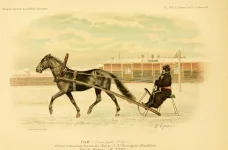 BookReaderImages23.webp