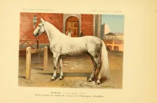 BookReaderImages24.webp