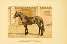 BookReaderImages25.webp