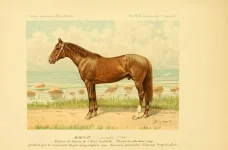BookReaderImages26.webp